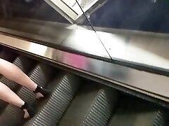 Upskirt 142