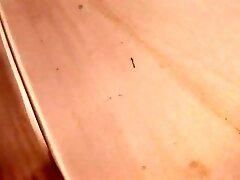 Donna Red Is A Busty Tattooed Woman Who Fucks And Makes A Black Cock Cum