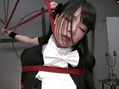 Japornxxx - Non Bdsm #1