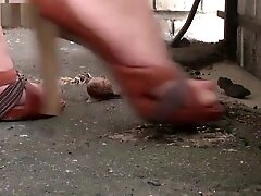 Diana Candid Snails