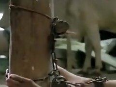 5Bollywood movie sex video