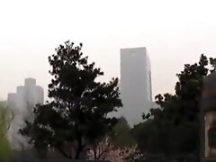 Sexually excited japanese lads having sexy sex