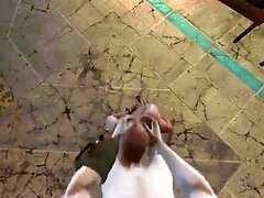 Fallout 4 - Nate fucking ghouls in public