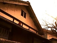 Japonese L matures