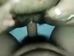 Horny latin bear making a baby